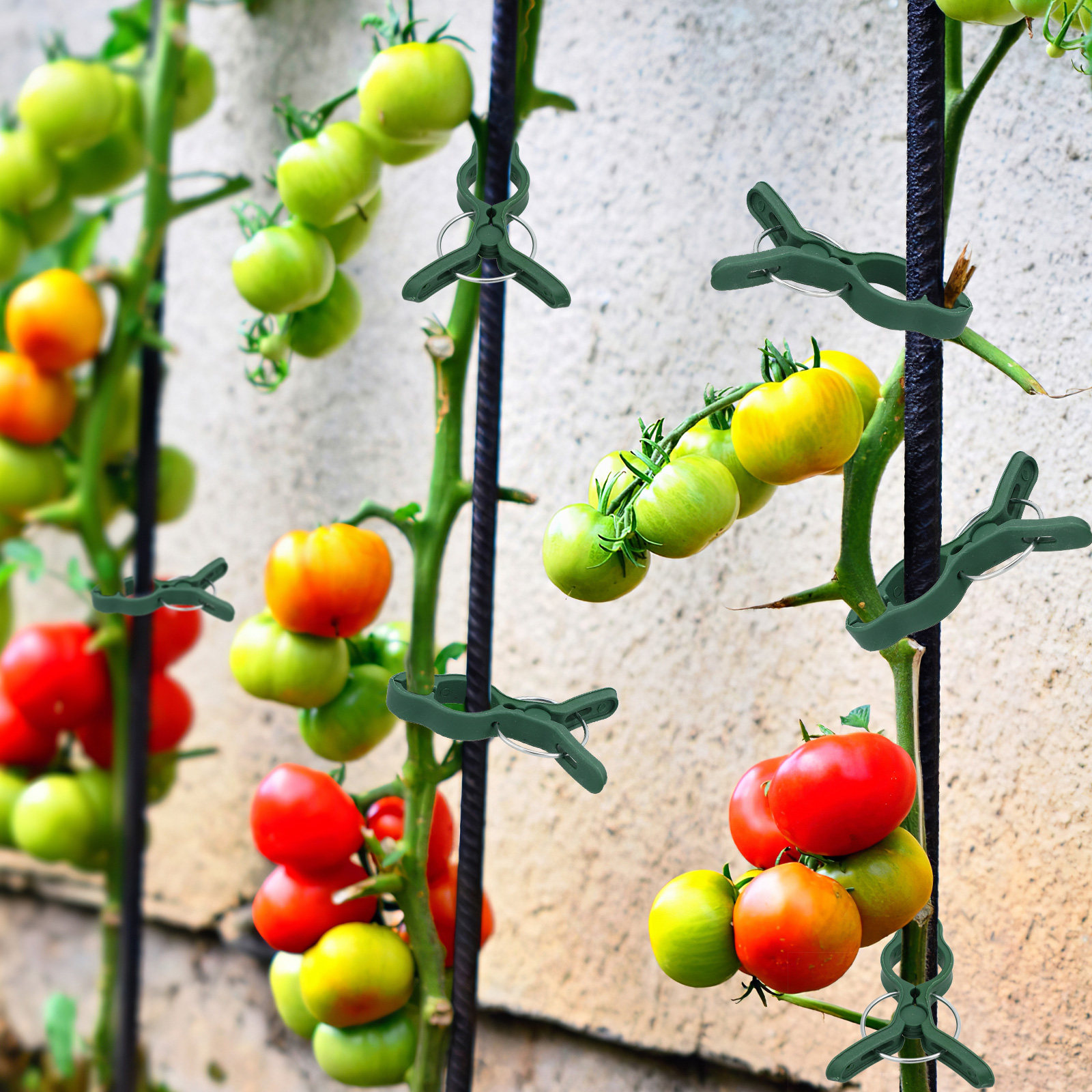 Vine Climbing Plastic - 50Pcs Plant Support Clamp Plastic Stem