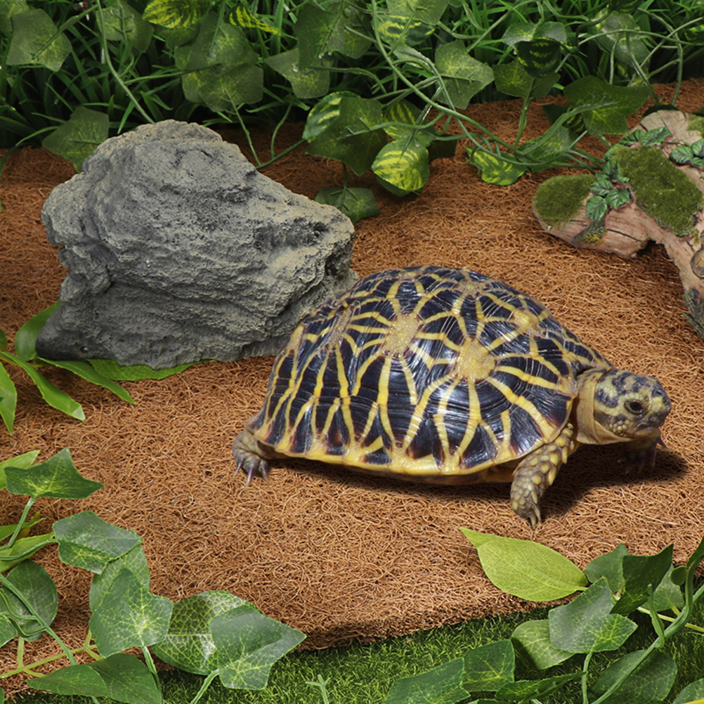 Substrate Coconut Fiber - Terrarium Bedding for Reptiles Natural Coconut