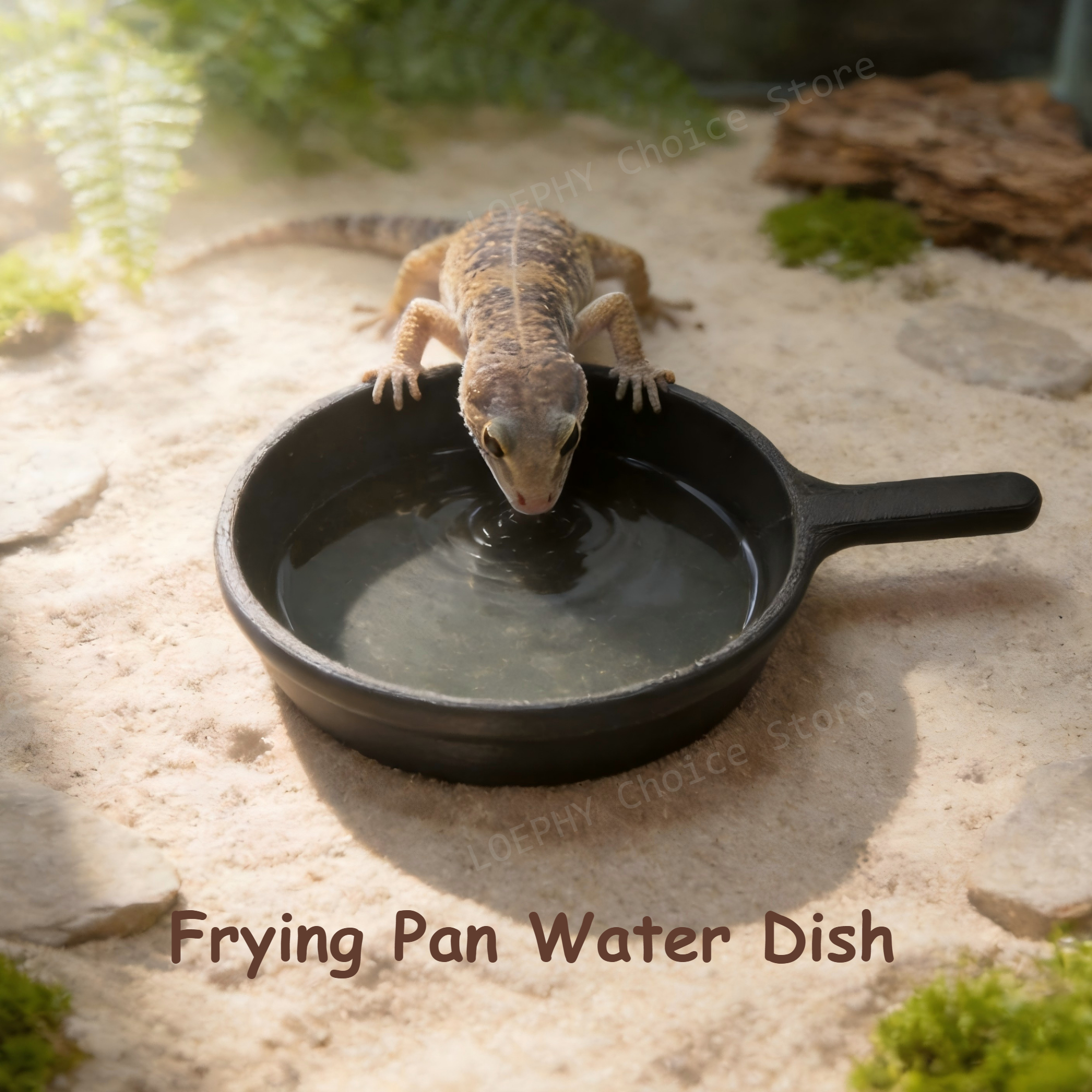 Funny Frying Pan Design Gecko  - đánh giá và giá Water Dish Reptile