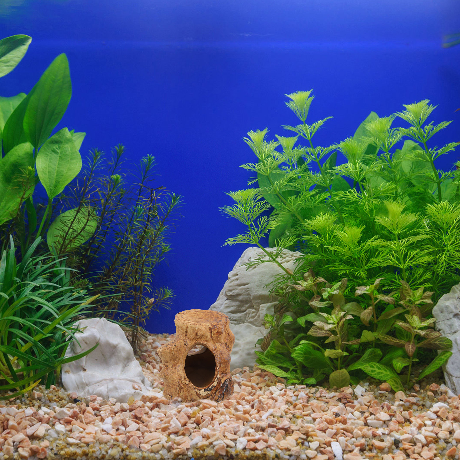 Aquarium Fish House Ceramic Ca - đánh giá và giá Hide Cave Ceramic