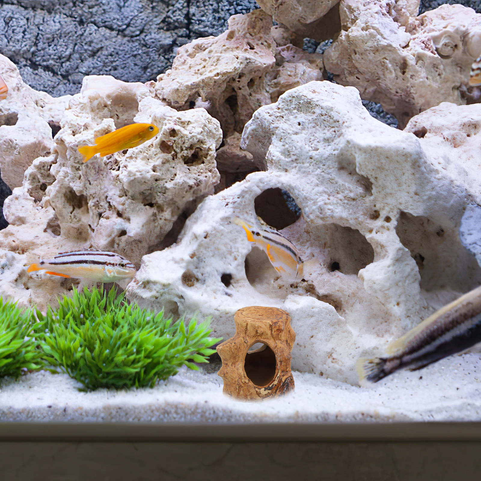 Aquarium Fish House Ceramic Ca - đánh giá và giá Hide Cave Ceramic