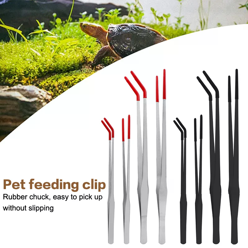 Stainless Steel Reptile Feedin - đánh giá và giá Feeding Tong Stainless