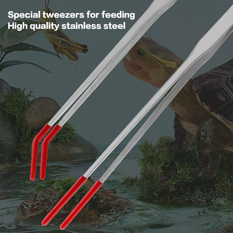 Stainless Steel Reptile Feedin - đánh giá và giá Feeding Tong Stainless
