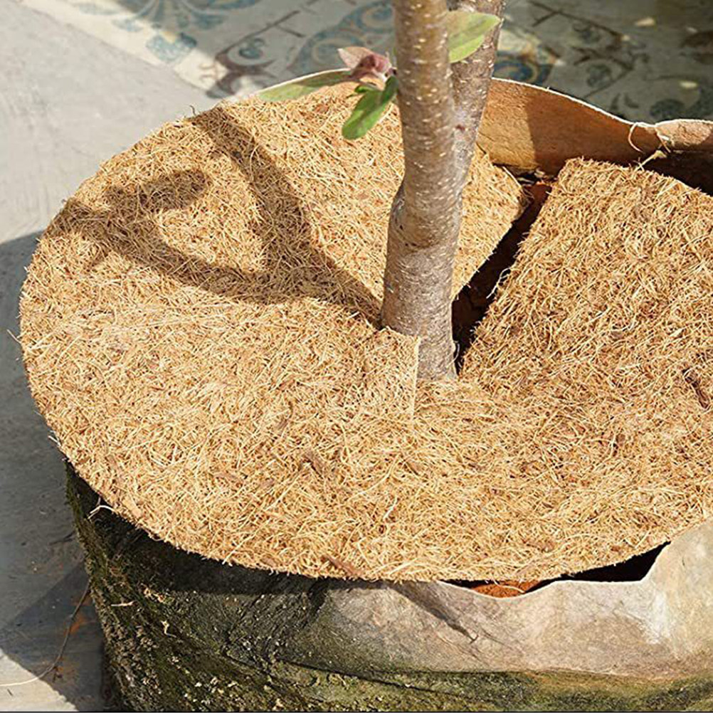 1 Roll Thick Coconut Fiber Lin - đánh giá và giá Substrate Coconut Fiber
