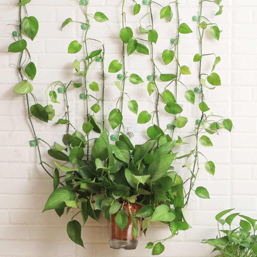 20Pcs Plant Climbing Wall Clip - đánh giá và giá Vine Climbing Plastic