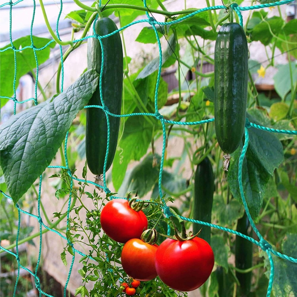 1pc Trellis Netting, Portable  - đánh giá và giá Vine Climbing Plastic
