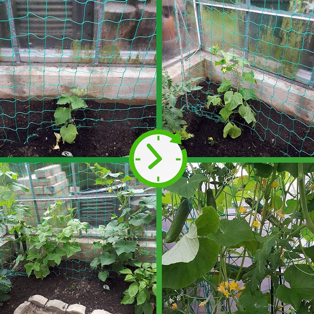 1pc Trellis Netting, Portable  - đánh giá và giá Vine Climbing Plastic