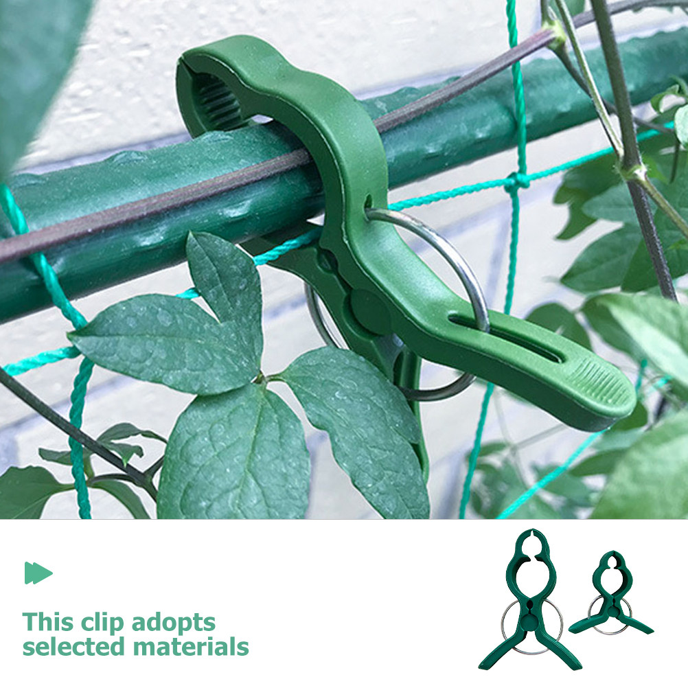 50Pcs Plant Support Clips Plas - đánh giá và giá Vine Climbing Plastic