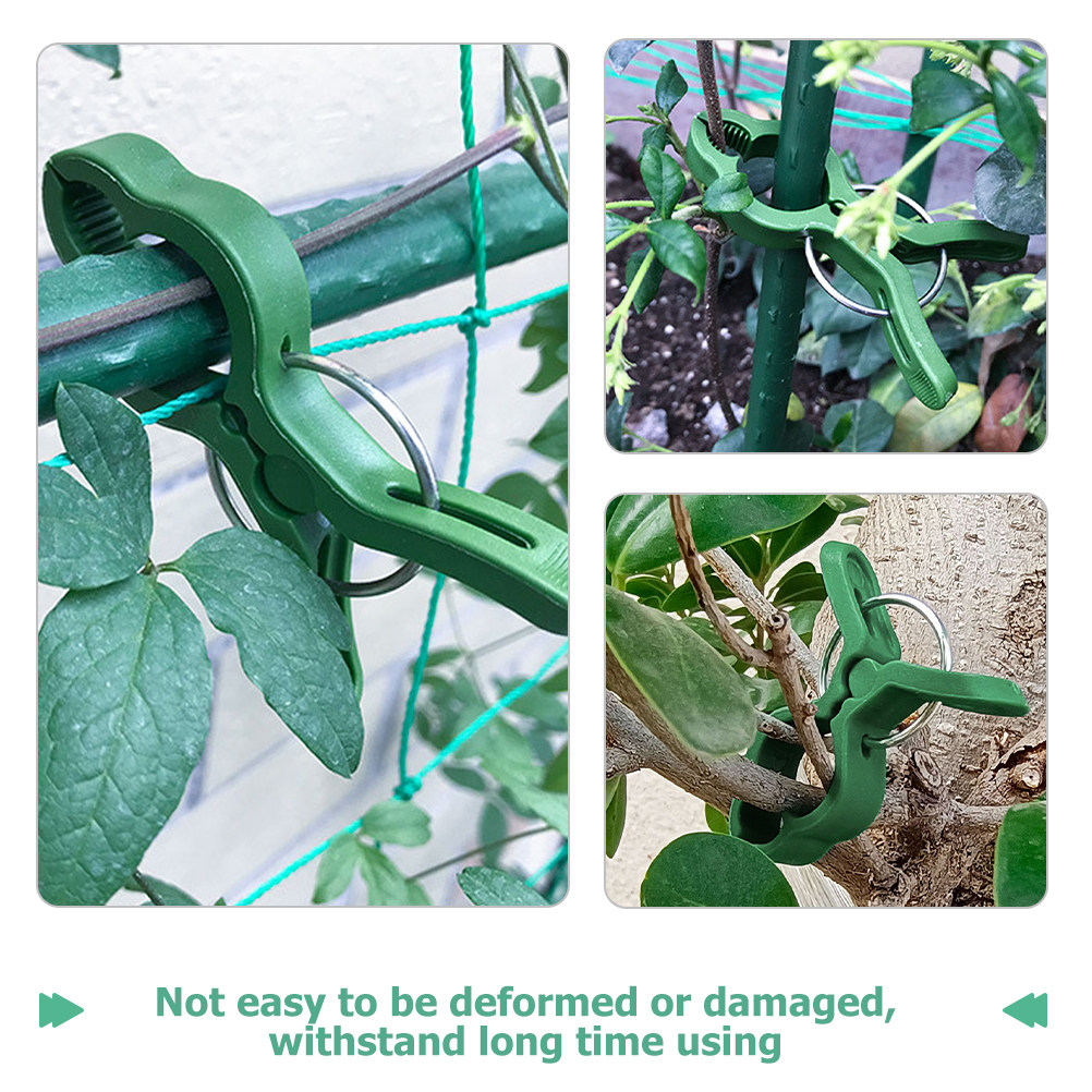50Pcs Plant Support Clips Plas - đánh giá và giá Vine Climbing Plastic