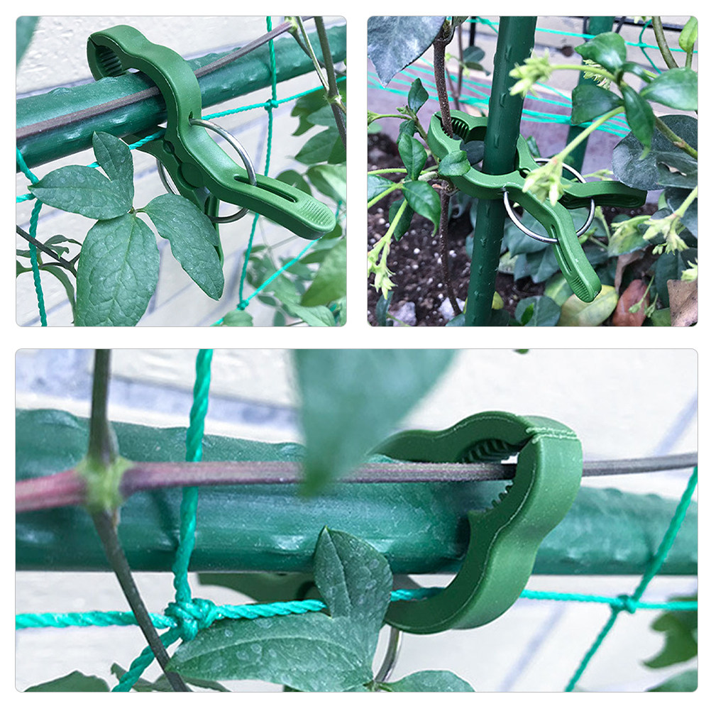 50Pcs Plant Support Clips Plas - đánh giá và giá Vine Climbing Plastic