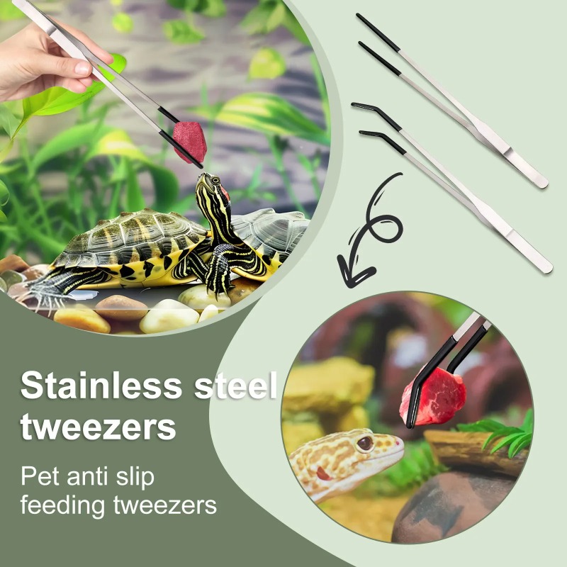 2Pcs Stainless Steel Tweezers  - đánh giá và giá Water Dish Reptile