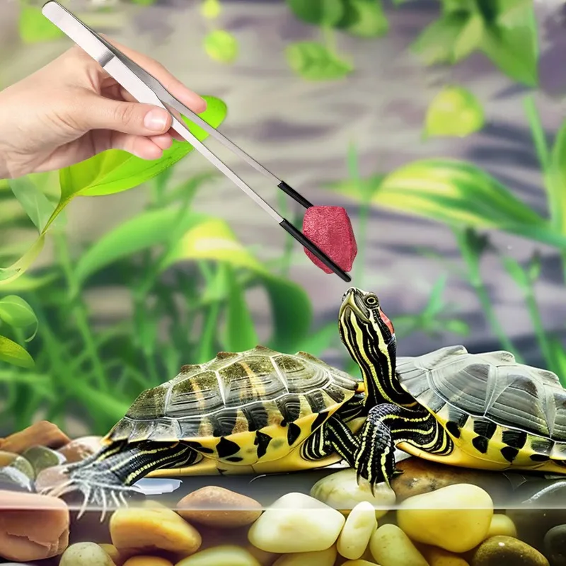 2Pcs Stainless Steel Tweezers  - đánh giá và giá Water Dish Reptile