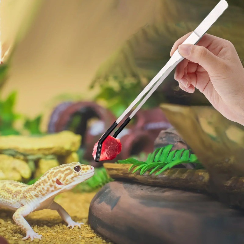 2Pcs Stainless Steel Tweezers  - đánh giá và giá Water Dish Reptile