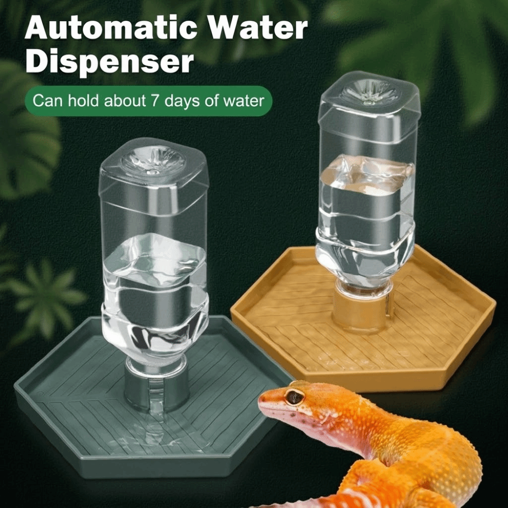 Feeding Supplies Automatic Tur - đánh giá và giá Water Dish Reptile