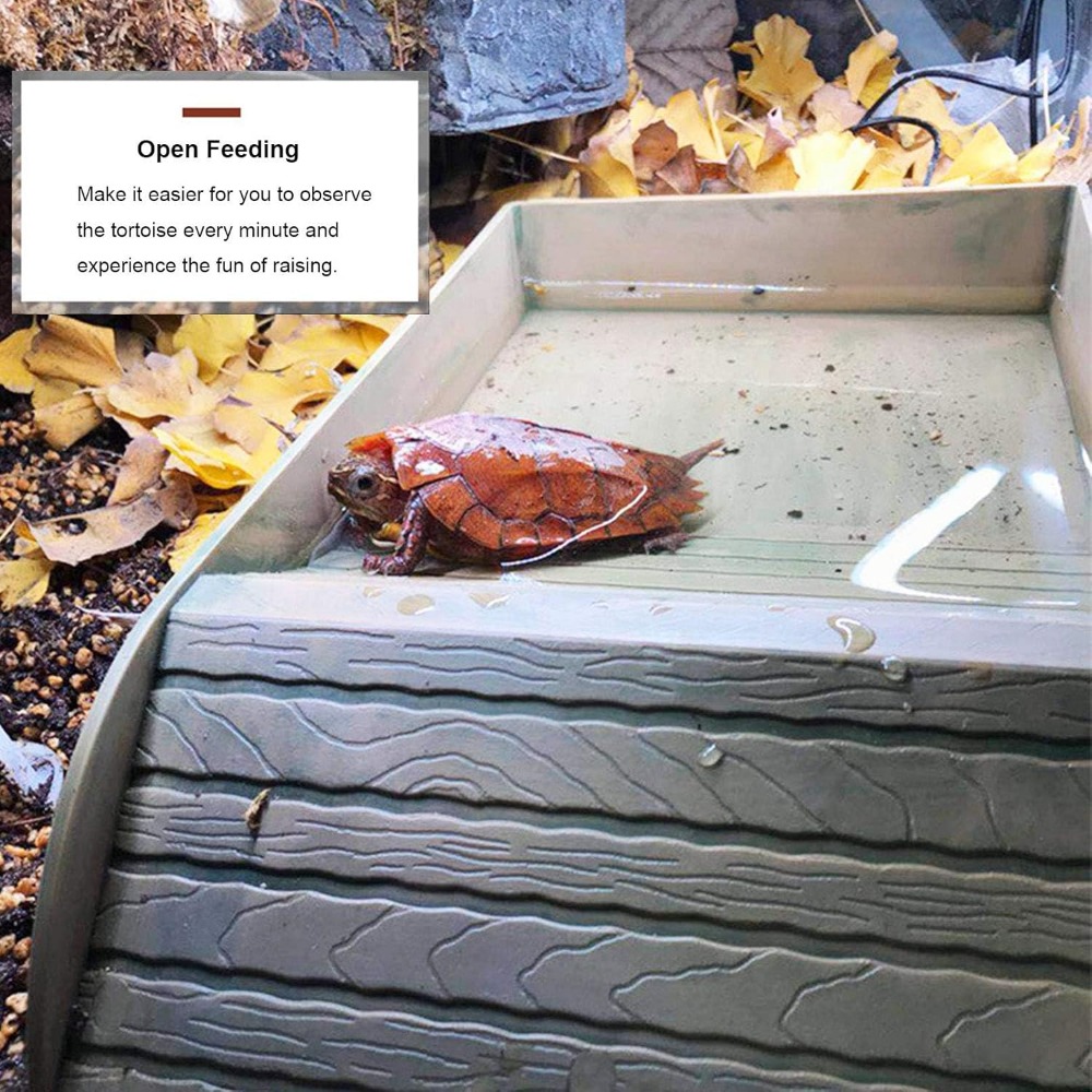 Turtle Bathing Pool Feeding Di - đánh giá và giá Water Dish Reptile