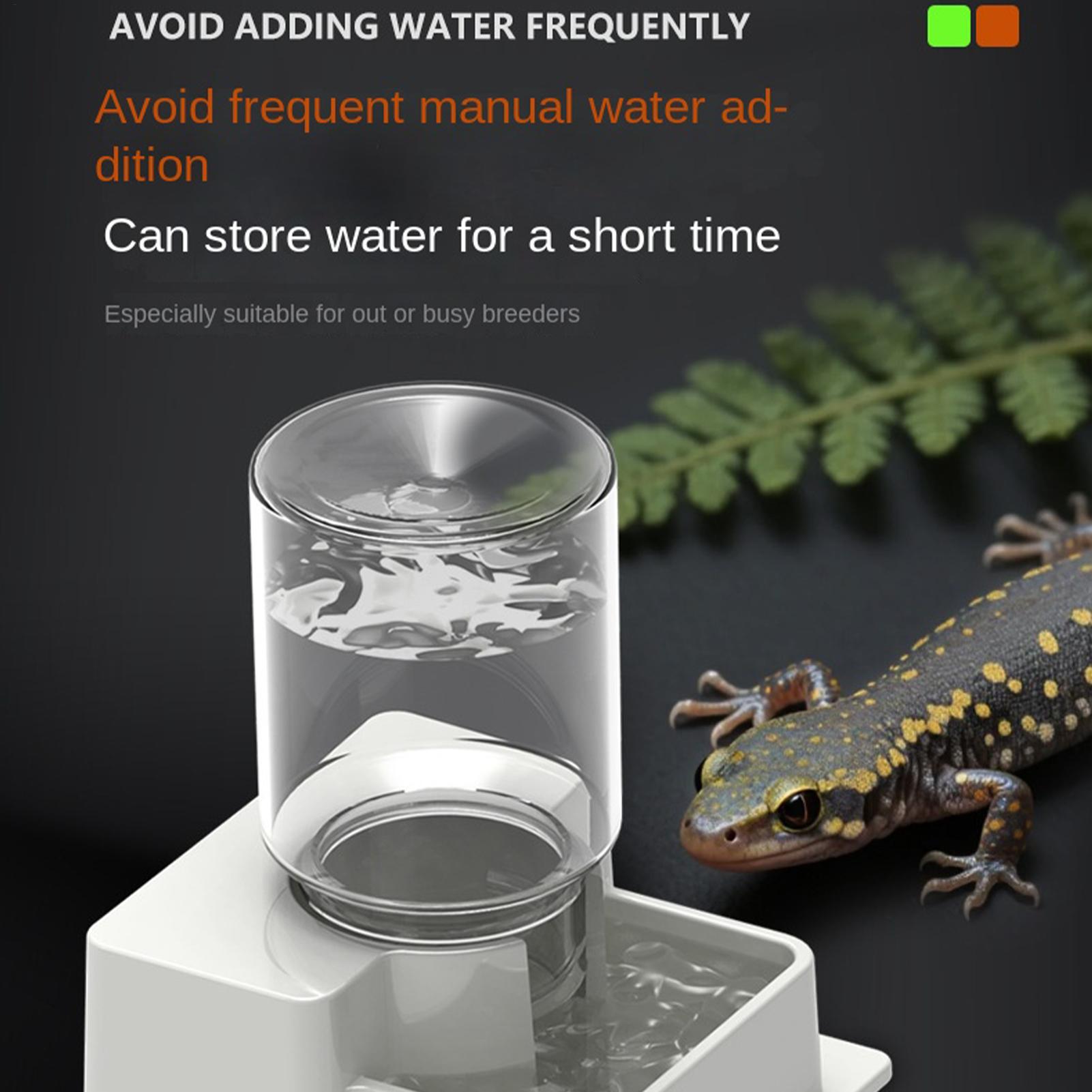 Bearded Dragon Water Fountain  - đánh giá và giá Water Dish Reptile