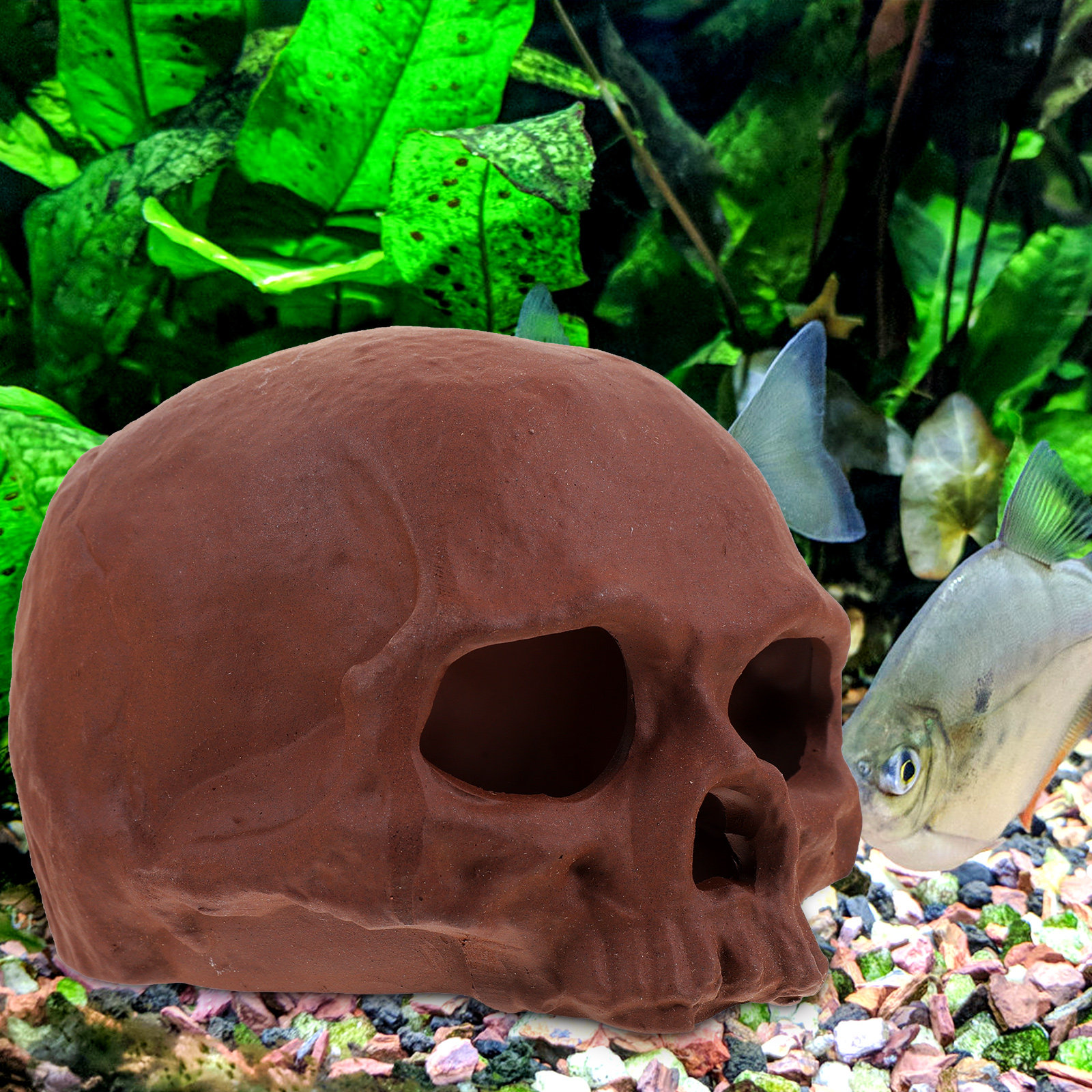 Ceramic Fish Tank Decoration S - đánh giá và giá Hide Cave Ceramic