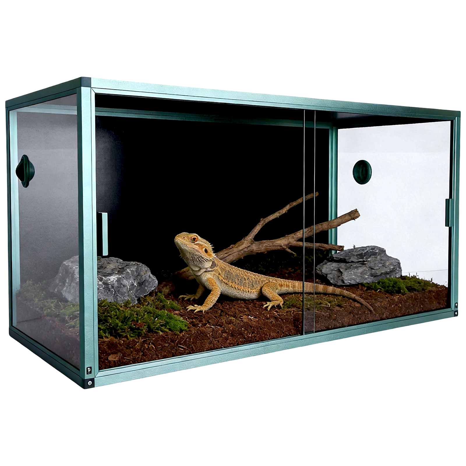 120 Gallon Bearded Dragon Tank - đánh giá và giá Screen Top Mesh