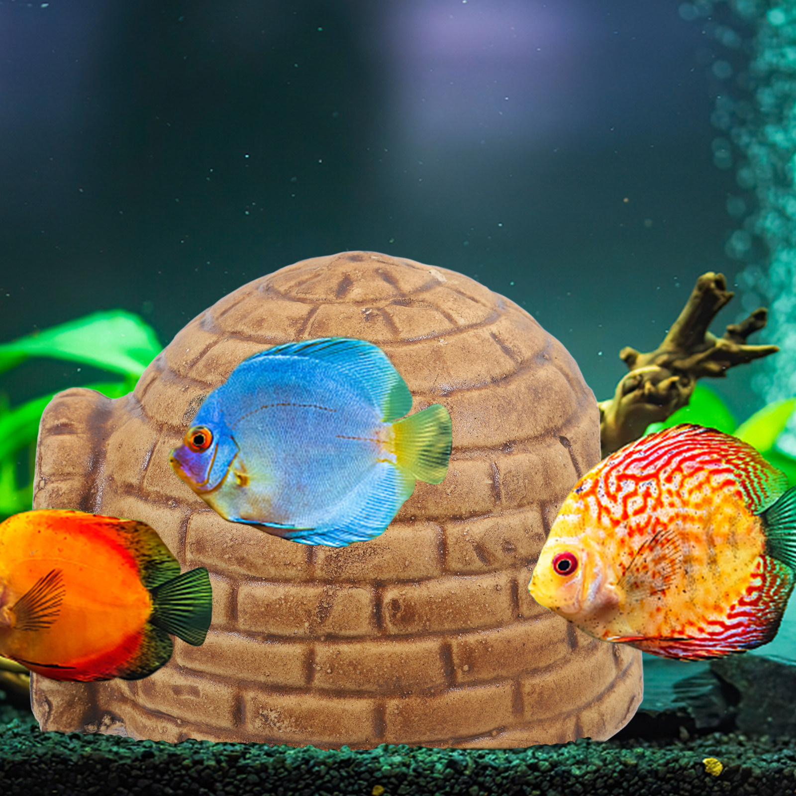 Pleco Caves for Aquarium Durab - đánh giá và giá Hide Cave Ceramic