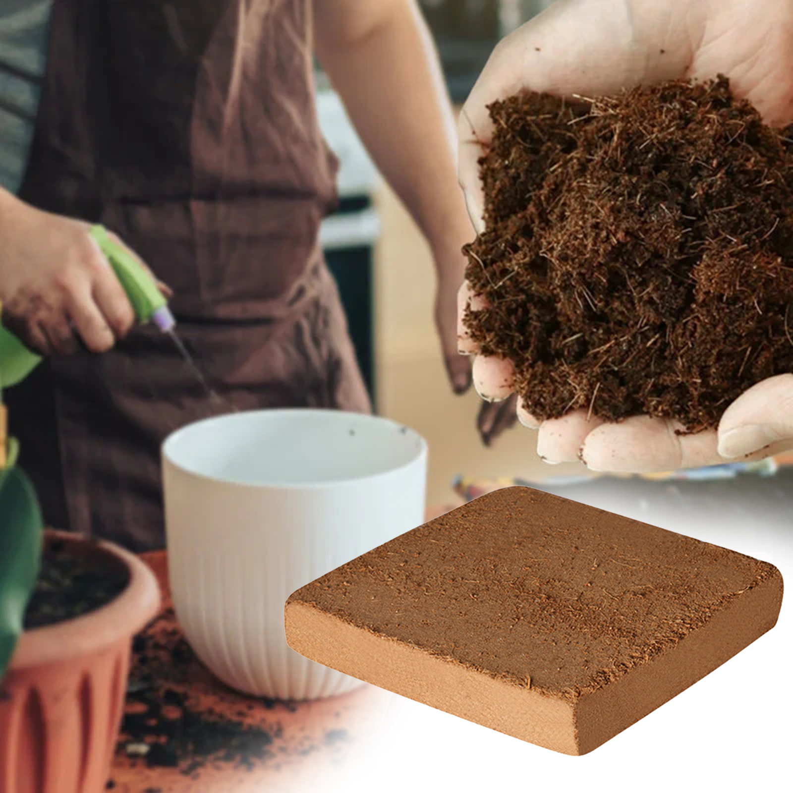 Soil Coconut Fibre Terrarium S - đánh giá và giá Substrate Coconut Fiber