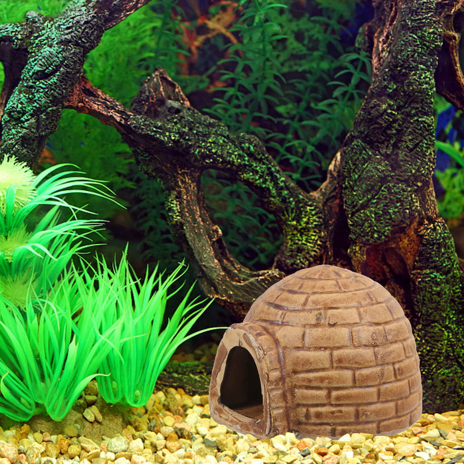 Ceramic Pleco Caves Aquarium F - đánh giá và giá Hide Cave Ceramic